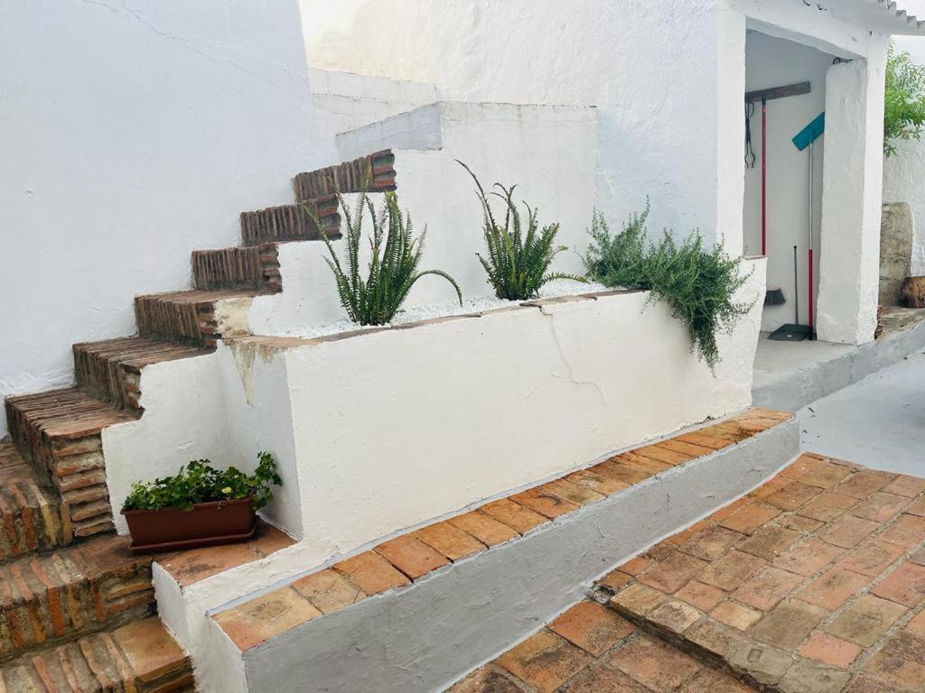 Casa Rural Dona Catalina Jimena De La Frontera Bagian luar foto